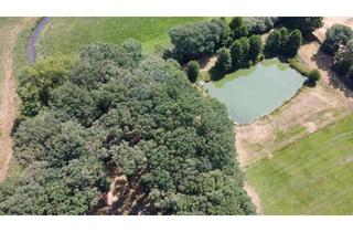 Gewerbeimmobilie kaufen in 49832 Beesten, Seltenes Naturgrundstück im Emsland - 4 ha Weide, 2 Teiche, Gebäude genehmigt, komplett eingezäunt