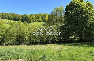 Grundstück zu kaufen in 64342 Seeheim-Jugenheim, großzügiges Grundstück mit einzigartigem Blick