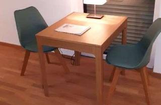 Wohnung mieten in Türltorstraße 31, 85276 Pfaffenhofen, Chick, modern, voll möbliert, Zentrum 1a Lage, mit TG-Stellplatz