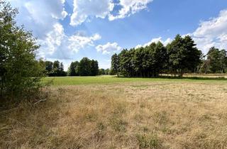 Bauernhaus kaufen in 15344 Strausberg, Seltene Gelegenheit: Bauernhaushälfte mit über 14.500 m² Grundbesitz im Strausberger Postbruch