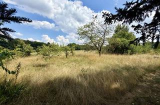 Bauernhaus kaufen in 15344 Strausberg, Seltene Gelegenheit: Bauernhaushälfte mit über 14.500 m² Grundbesitz im Strausberger Postbruch