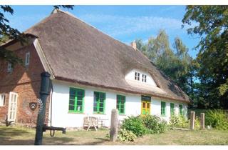 Haus kaufen in 18569 Neuenkirchen, Denkmal-AfA & Steuergestaltung / Top saniertes ehem. Pfarrhaus von 1849 / Kurzzeitvermietung möglich