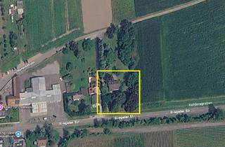 Grundstück zu kaufen in Riegeler Straße 11, 79346 Endingen, Baugrundstück mit Bestandsgebäude – ideal für Neubau oder Sanierung
