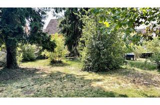 Grundstück zu kaufen in 79379 Müllheim, GRUNDSTÜCK AM BACH