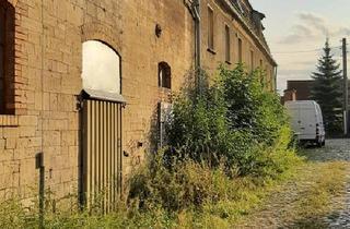 Mehrfamilienhaus kaufen in 06246 Bad Lauchstädt, Bad Lauchstädt - Traumhaus im Dornröschenschlaf möchte aufgeweckt werden!!!