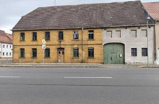 Grundstück zu kaufen in 04880 Dommitzsch, Dommitzsch - PROJEKT FÜR VISIONÄRE - FIX UND FLIP MÖGLICH