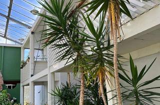Wohnung kaufen in Ulrichweg 14, 72119 Ammerbuch, *Ein seltenes Unikat* 2-Zimmer Wohnung mit Atrium, Balkon und EBK in bester Lage Entringens