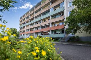 Wohnung mieten in Zum Grundbachtal 55, 02785 Olbersdorf, ✨ Neues Highlight: Frisch sanierte 1-Zimmer-Perle mit Platz-Garantie! ✨