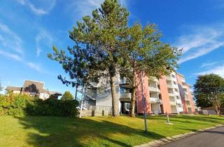 Wohnung mieten in 94089 Neureichenau, Helles gemütliches 1,5 - Zimmer Apartment mit Balkon im Bayerischen Wald