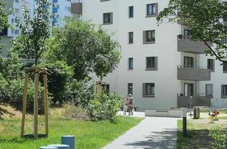 Wohnung mieten in Theodor-Loos-Weg 15A, 12353 Rudow, 1 Zimmer mit Dusche