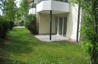 Wohnung mieten in 97828 Marktheidenfeld, Südterrasse + EBK inclusive !