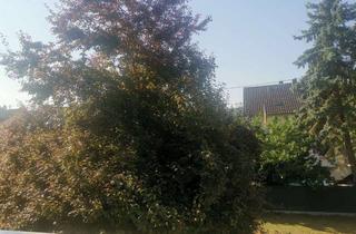Wohnung mieten in 55566 Bad Sobernheim, Gepflegtes Wohnen, 2ZKB Loggia mit Einbauküche im 1.OG