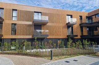 Wohnung mieten in Frühlingstr 23a, 82205 Gilching, Erstbezug 2-Zimmer-Wohnung mit Balkon