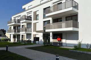 Penthouse mieten in Louis-Pasteur-Straße, 77933 Lahr, Neuwertige 2 Zimmer Penthouse Wohnung