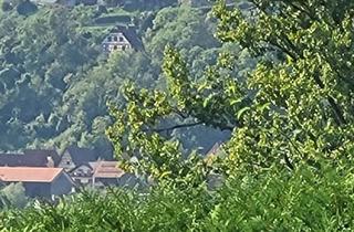 Wohnung mieten in Nachtigallenweg 34, 74855 Haßmersheim, Charmante 2-Zimmer Wohnung im UG, frisch saniert in Haßmersheim