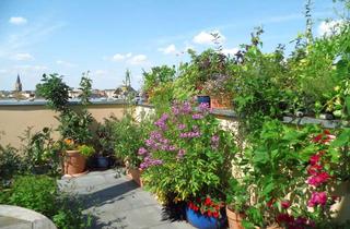 Wohnung mieten in Martha-Brautzsch-Straße, 06108 Halle, MIT DACHTERRASSE !!! Wohnen im Kulturdenkmal: Edle 2-Zimmerwohnung mit Terrasse