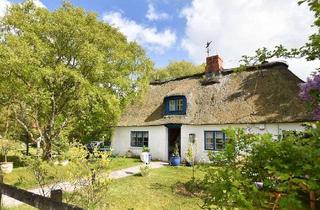 Haus kaufen in 25842 Langenhorn, Märchenhaftes Anwesen mit zwei sonnigen Reetdachkaten in Nordfriesland!
