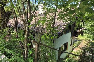 Einfamilienhaus kaufen in 84130 Dingolfing, Auf dem "Brunnerfeld" - Großzügiges Einfamilienhaus mit Einliegerwohnung in bester Wohnlage!