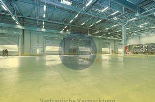 Gewerbeimmobilie kaufen in 99189 Gebesee, + Halle für Logistik, Handwerk, Produktion + ca. 383 €/m² + ca. 2300 m² + Büro und Wohnung + D16259