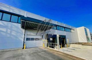 Gewerbeimmobilie kaufen in 60437 Nieder-Erlenbach, NEUBAU ✓ SCHNELL VERFÜGBAR ✓ Lager (4.750 m²) mit Büro (1.600 m²)