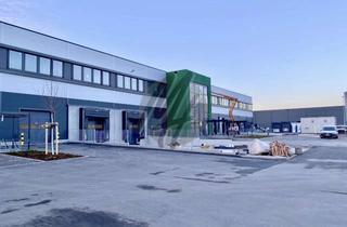 Gewerbeimmobilie kaufen in 61352 Bad Homburg, NEUBAU ✓ SCHNELL VERFÜGBAR ✓ Modernes Gewerbeobjekt mit Lager (5.050 m²) & Büro (1.850 m²)