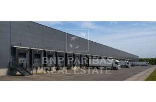 Gewerbeimmobilie mieten in 91257 Pegnitz, Nachhaltige Logistik und Produktionshalle – Top Anbindung