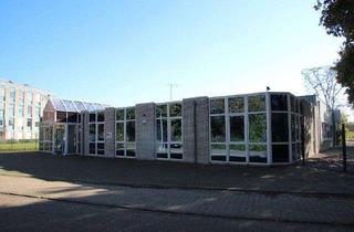 Büro zu mieten in 41748 Viersen, Vielseitig nutzbare Gewerbehalle in Viersen - 777 m² Halle, Büro u. Freifläche - Provisionsfrei