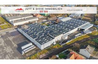 Gewerbeimmobilie kaufen in 76437 Rastatt, Montage- u. Fertigungshalle mit ca. 6.000 m², Verwaltungsgebäude und großen Freiflächen in Rastatt