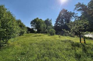 Grundstück zu kaufen in Ritzmehring, 83543 Rott, Sonniges Freizeitgrundstück