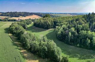 Grundstück zu kaufen in 94149 Kößlarn, Die passende Ergänzung für Ihren landwirtschaftlichen Flächenbestand