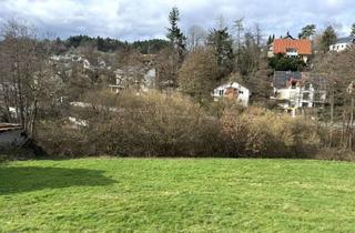 Grundstück zu kaufen in Neue Anlage 39, 69198 Schriesheim, Sonniger Bauplatz in Bestlage von Schriesheim Altenbach