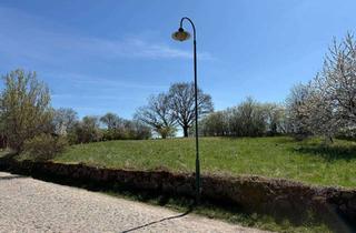 Grundstück zu kaufen in 16259 Falkenberg, DEUTSCHMANN IMMOBILIEN ***** ivd - Baufeld mit leichter Hanglage in ruhiger Lage von Gersdorf!