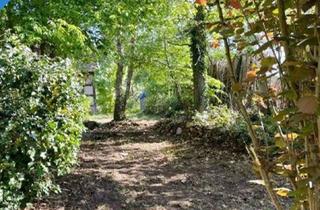 Grundstück zu kaufen in 90602 Pyrbaum, Baugrundstück mit Altbestand in Pyrbaum OT Oberhembach