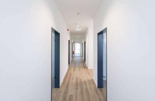 Büro zu mieten in 75053 Gondelsheim, Moderne Bürofläche mit 175 m² in Gondelsheim! Erstbezug nach Sanierung - sofort bezugsbereit!