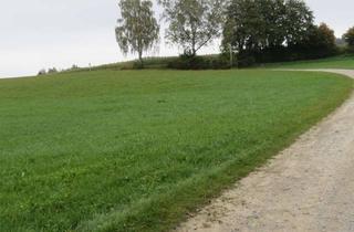 Immobilie kaufen in Haselbach, 87745 Eppishausen, Wiesen in leichter Hanglage in Haselbach