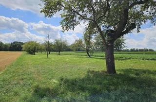 Gewerbeimmobilie kaufen in 89420 Höchstädt, Attraktives landwirtschaftliches Grundstück gegen Gebot