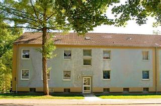 Sozialwohnungen mieten in Adalbertstraße 21, 45661 Recklinghausen, Im grünen Hochlarmark//3 Zimmer//mit WBS ab zwei! Personen