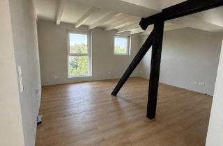 Wohnung mieten in Bahnhofstraße, 74226 Nordheim, Einzigartige 2-Zimmer-DG-Wohnung mit Fachwerkcharme und traumhaftem Weitblick