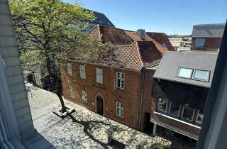 Wohnung mieten in Dänische Straße 36, 24103 Altstadt, 1-Zimmer-Wohnung in begehrter Kieler Innenstadtlage