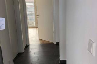 Wohnung mieten in Emsdettener Straße, 48268 Greven, 55 m², 2 Zi, + 30 m² Dachterrasse, inkl. Küche und TG 675€ KM + 150 € NK