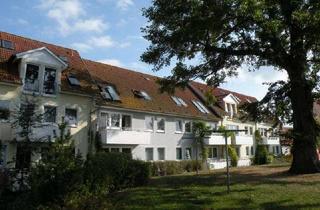 Garagen mieten in Gr. Parowerstr. 38-40a /C.-L 38, 18435 Kniepervorstadt, Stellplatz zu vermieten!