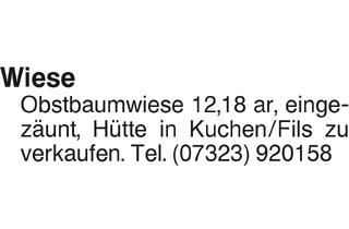 Grundstück zu kaufen in 89547 Gerstetten, Grundstück in Gerstetten (89547)
