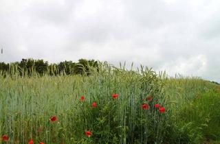 Immobilie kaufen in 64560 Riedstadt, Landwirtschaftsfläche inRiedstadt / Leeheim