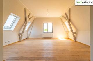 Wohnung mieten in Klausenerstraße 11-13, 39112 Magdeburg, Schöne 2-Raum-Dachgeschosswohnung in der Villa Wolf mit offener Küche, Tageslichtbad mit Dusche.