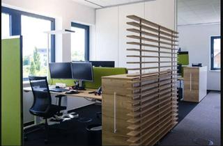 Büro zu mieten in In Den Weinäckern, 69168 Wiesloch, Büroräume für Start-ups oder Tech-Unternehmen in Wiesloch, Nähe SAP