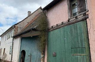 Bauernhaus kaufen in 67819 Kriegsfeld, Kriegsfeld - Altes Bauernhaus Bauernhof Vierseitenhof
