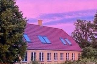 Haus kaufen in 24955 Harrislee, Harrislee - Hof mit 240 qm Haus und 2,3 Hektar in DK Sydals (Pferdehaltung)