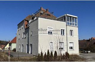 Wohnung kaufen in 91154 Roth, Roth - Außergewöhnliche und sehr großzügige 5 Zimmer Mansardenwohnung mit Dachterrasse und Wintergarten