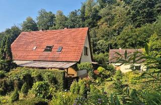 Doppelhaushälfte kaufen in 67466 Lambrecht, Lambrecht (Pfalz) - Ruhig-gelegene DHH in begehrter Lage von Lambrecht