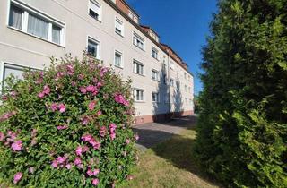 Wohnung kaufen in Brunnenstraße 4A, 04509 Zwochau, 4-Raum-Wohnung in einem sehr gepflegten Haus – gute Kapitalanlage